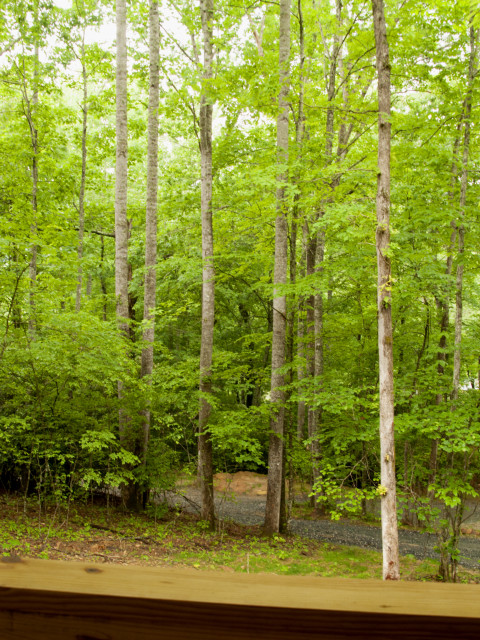 View from the window